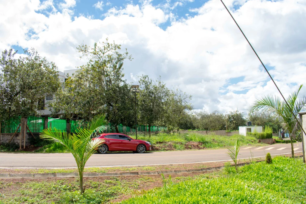 Thika Grove